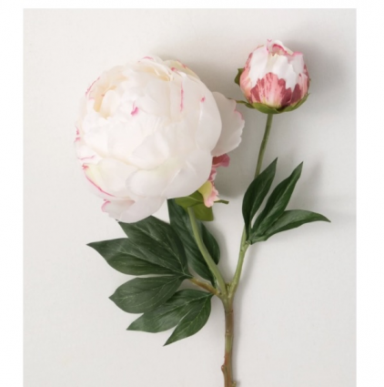 Cream Peony Spray with Bud 22"