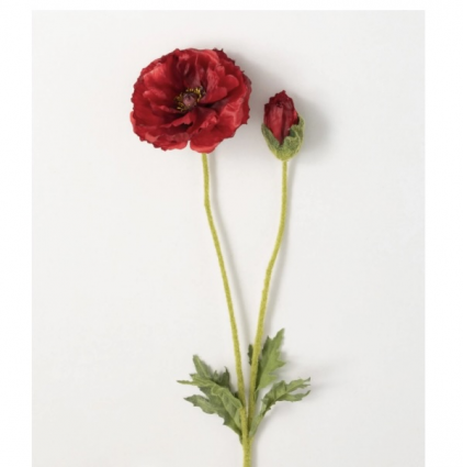 Radiant Red Poppy with Bud 27"