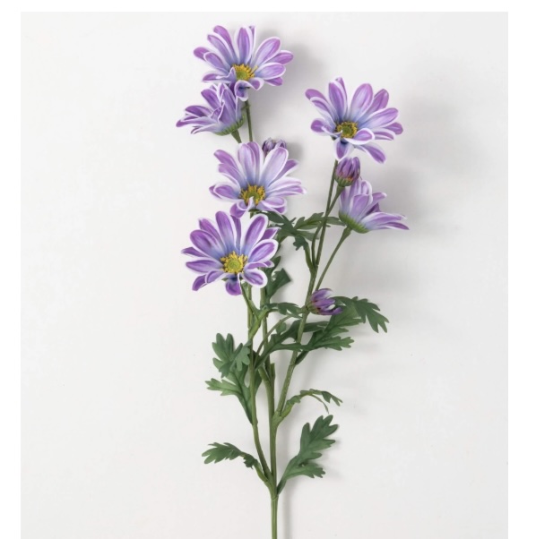 Lavender Liliac Gazania Stem 33.5"
