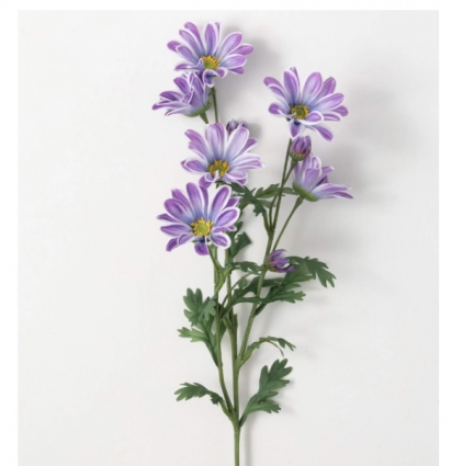 Lavender Liliac Gazania Stem 33.5"