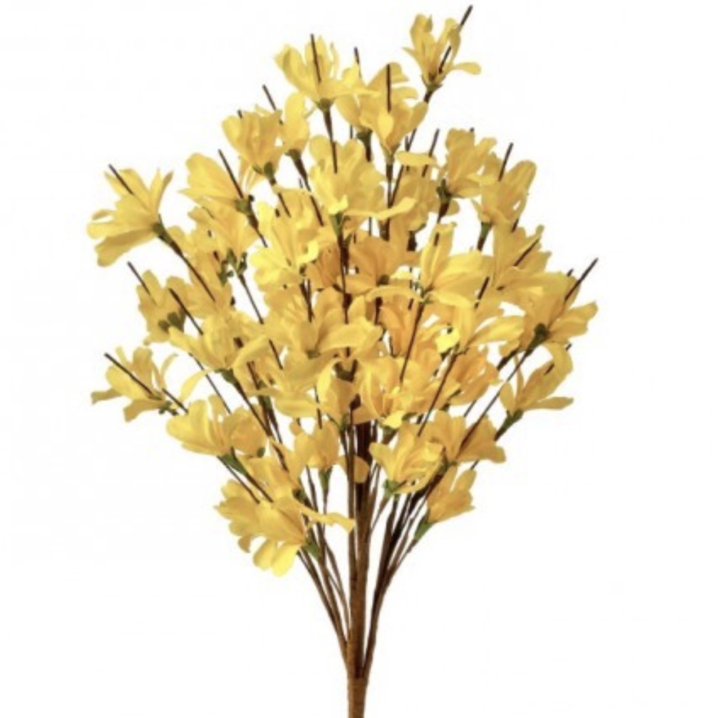 Yellow Forsythia Bush 20"