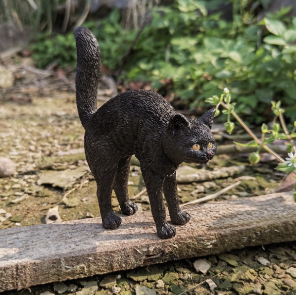 Fairy Black Cat Hissing 3"