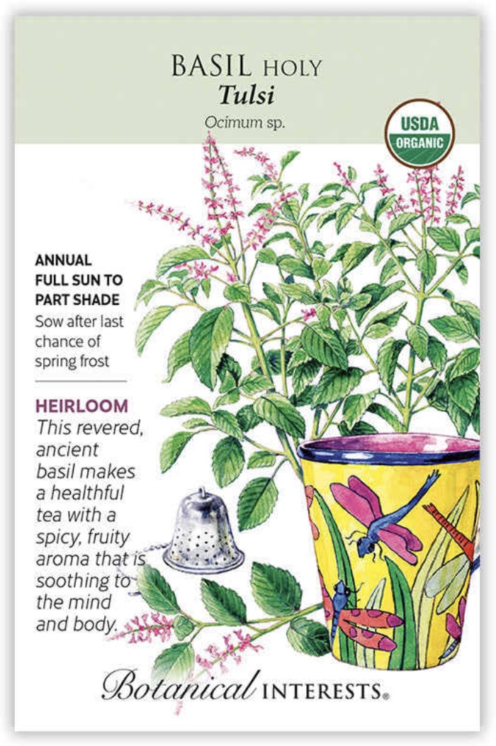 Organic Tulsi Holy Basil Seeds
