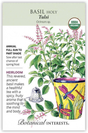 Organic Tulsi Holy Basil Seeds
