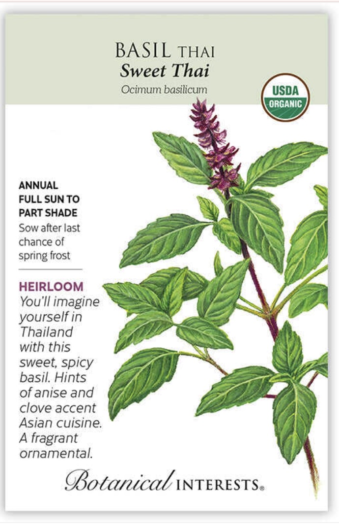 Organic Sweet Thai Basil Seeds