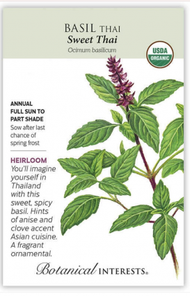 Organic Sweet Thai Basil Seeds