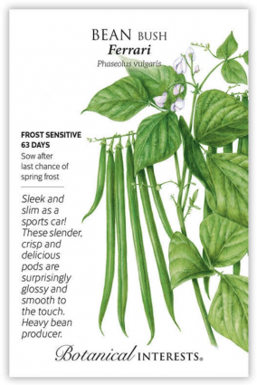 Ferrari Bush Bean Seeds