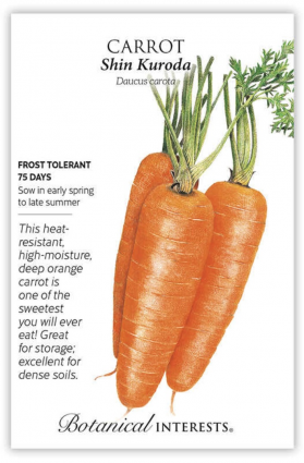 Shin Kuroda Carrot Seeds