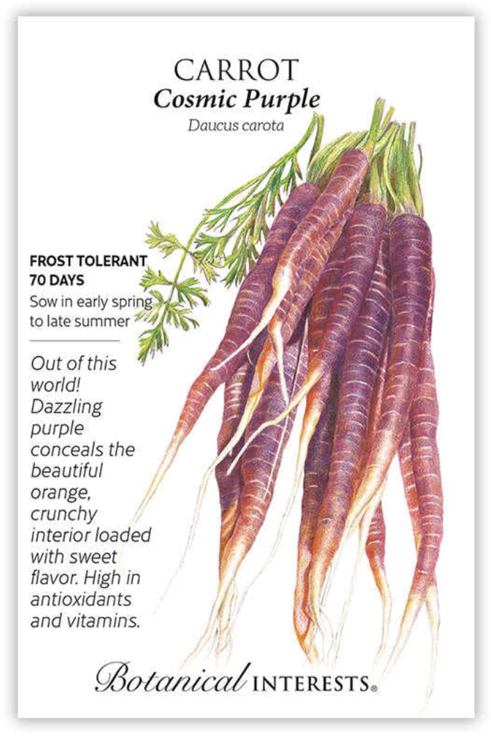 Cosmic Purple Carrot Seeds