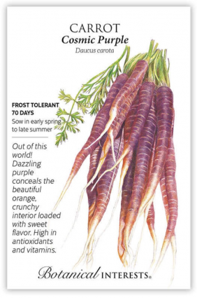 Cosmic Purple Carrot Seeds