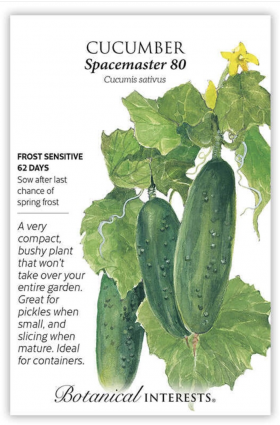 Spacemaster 80 Cucumber Seeds