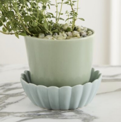 Light Green Springvale Pot with Saucer. 5.25" X 5" 