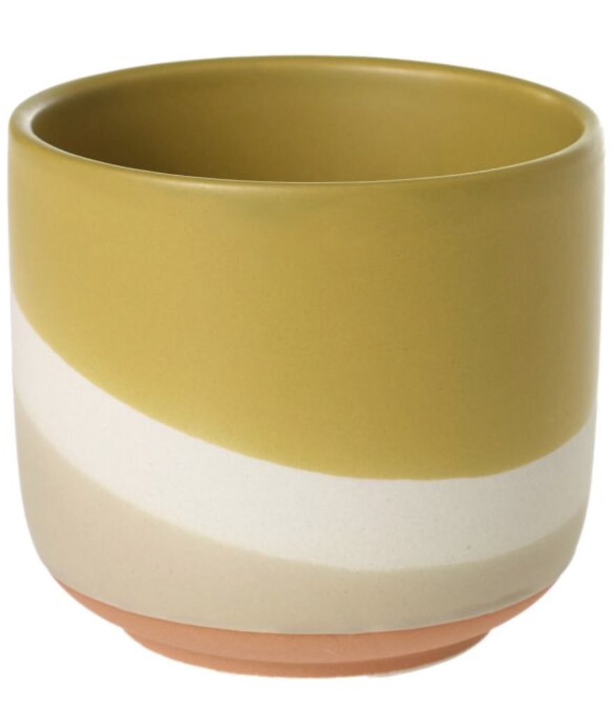 Yellow Colorway Pot. 4" X 3.5" 