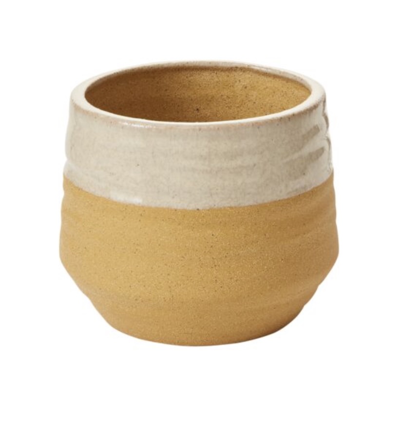 Yellow Altamira Pot  5.75" X 5.25" 