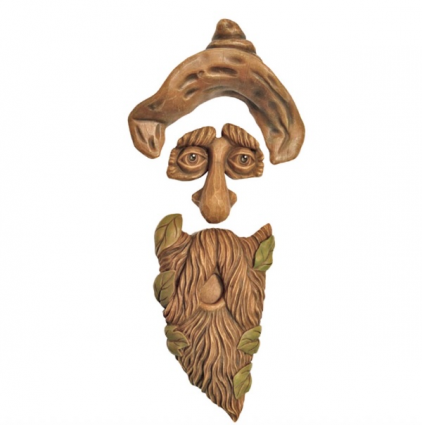 FOREST FACE, HANK