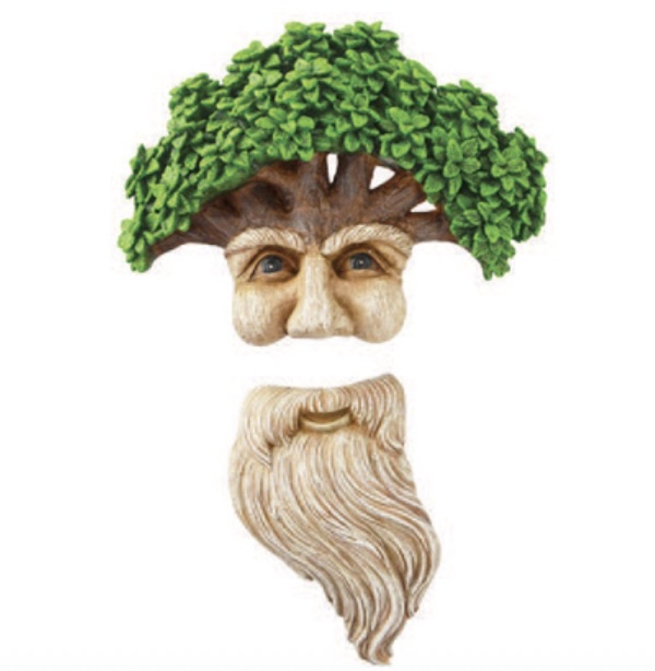 TREE FACE, LONG BEARD OLD MAN