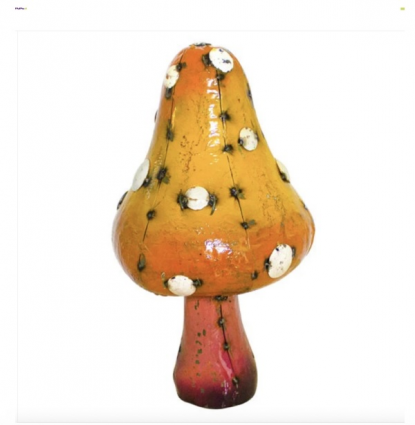 Shroomy Mushroom