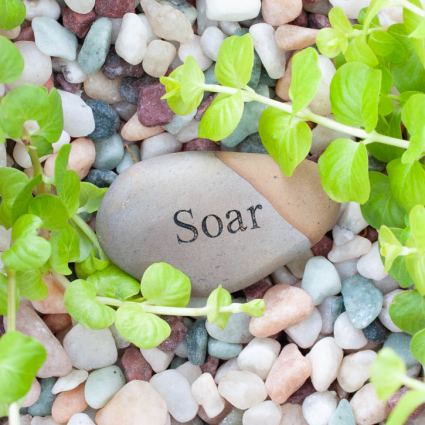 MINI STONE, 2-3" SOAR