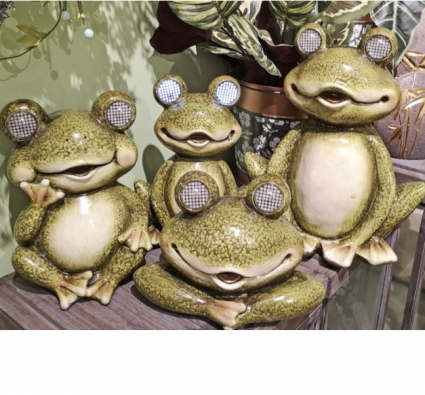 Small Frog with Solar Eyes 