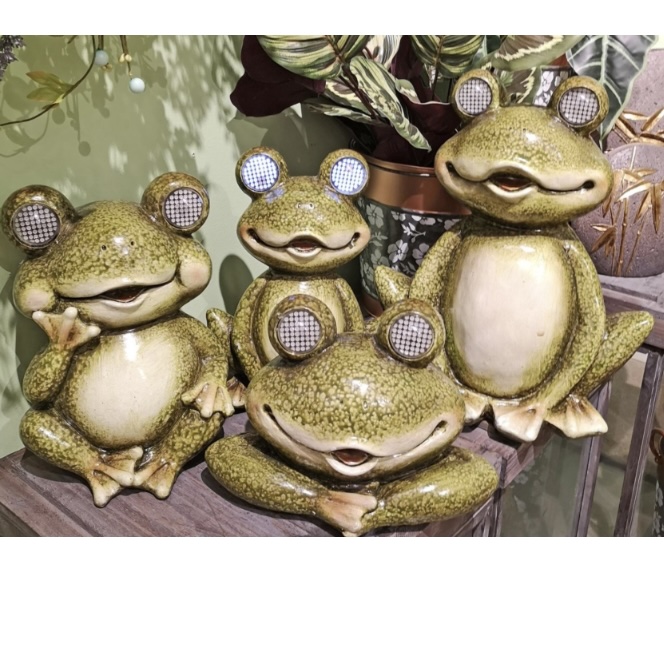 Large Frog with Solar Eyes