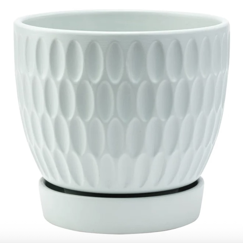 Large Green Honeycomb Planter 6.5"