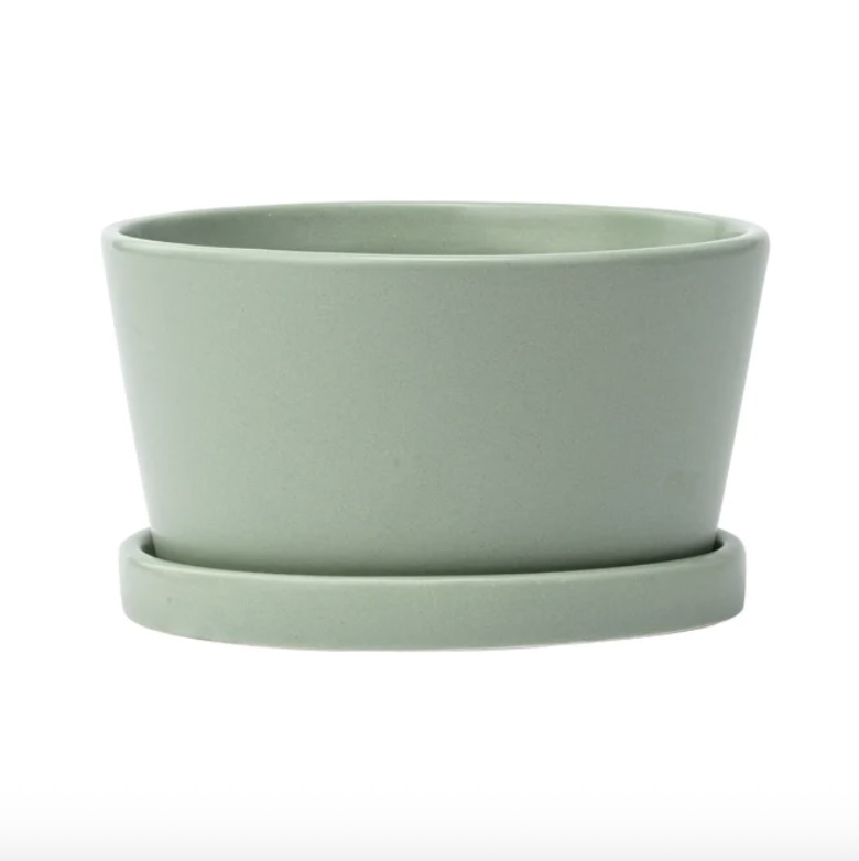 Small Green Dish Garden with Saucer 6" x 3"