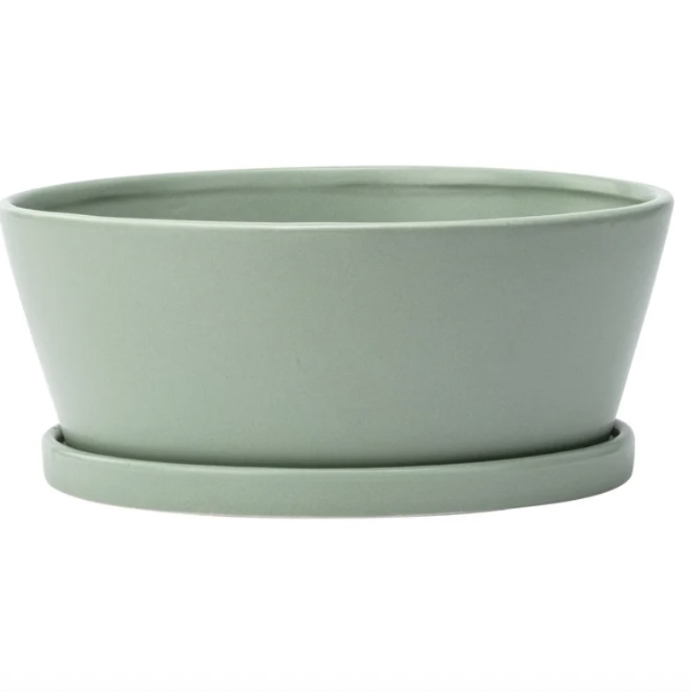 Large Green Dish Garden with Saucer 8.5" X 3"H 