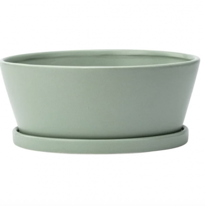 Large Green Dish Garden with Saucer 8.5" X 3"H 
