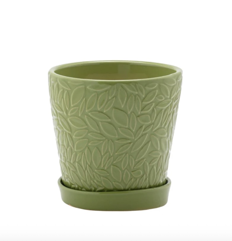 Small Green Embossed Leaves Pot with Saucer 4.5"