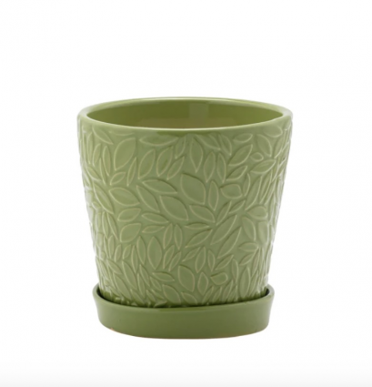 Small Green Embossed Leaves Pot with Saucer 4.5"