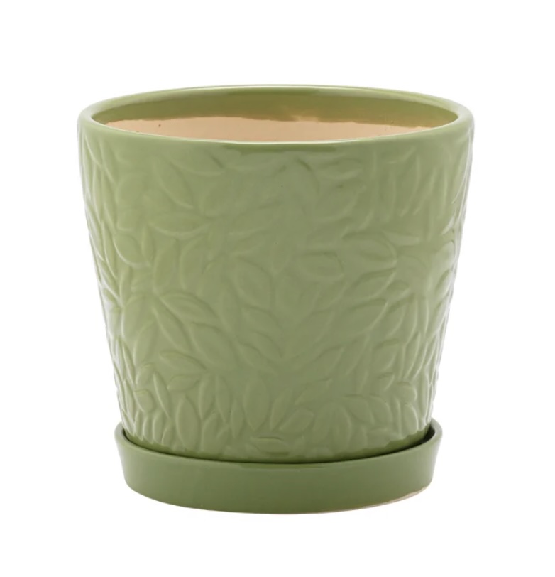 Green Embossed Leaves Pot with Saucer 6"