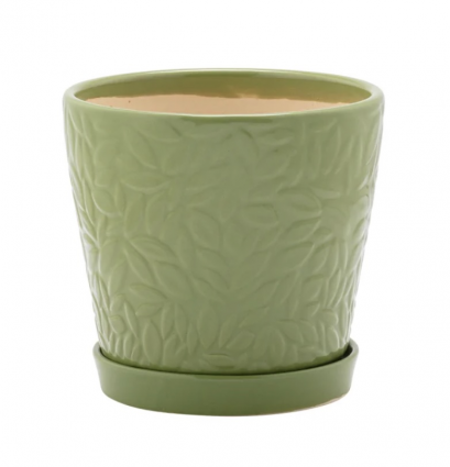 Green Embossed Leaves Pot with Saucer 6"