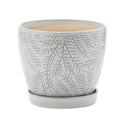 White Fern Pot with Saucer 7.5"X 7"H