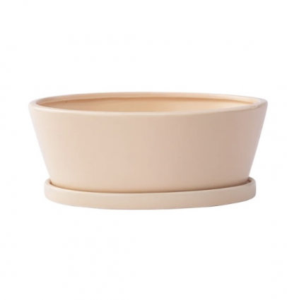 Medium Pink Dishgarden with Saucer 8.25"