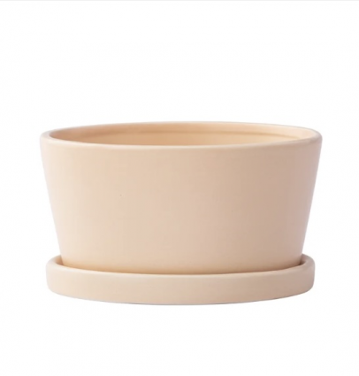 Small Pink Dishgarden with Saucer 3" H 6" 