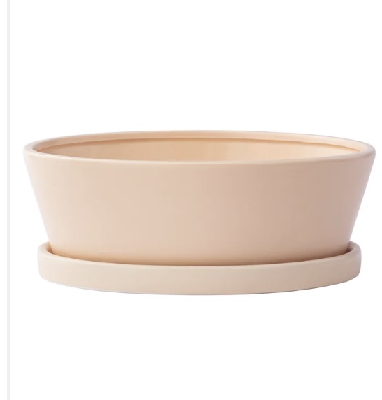 Large Pink Dishgarden with Saucer 3" H X 9.75"