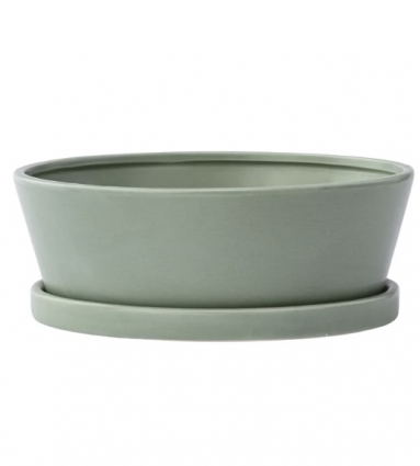 Large Green Dishgarden with Saucer: 3" H 9.75"