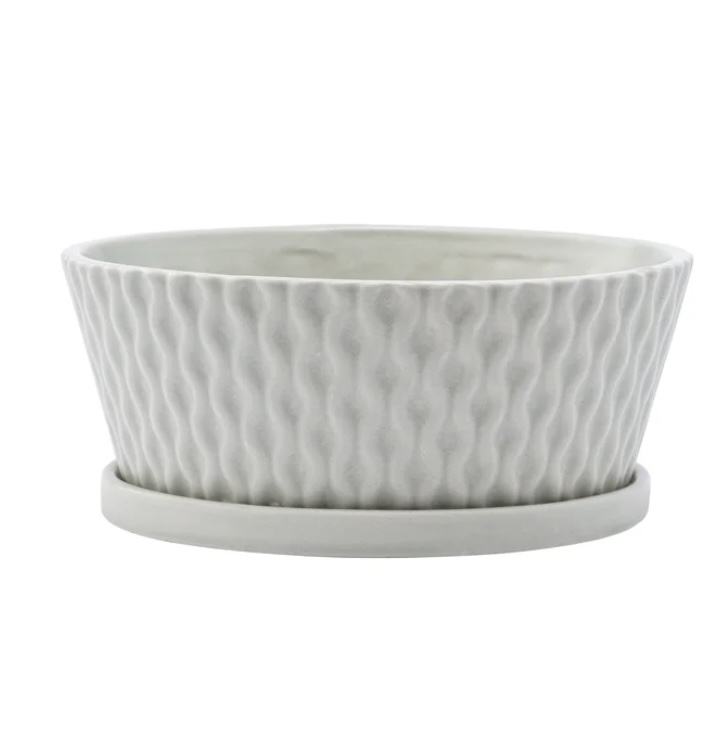 Medium Gray Wavy Dishgarden with Saucer ,8.25" X 3"H 