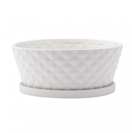 Medium White Diamond Dishgardenwith Saucer 3" H 8.25" 