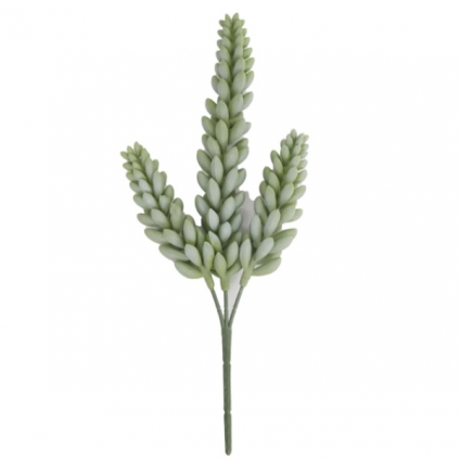 Green Donkey Tail Pick  3"W X 10"H 