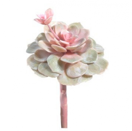 STEM, ROSETTE SUCCULENT MED X2
