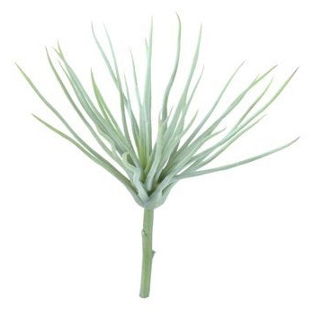 STEM, TILLANDSAI GREEN