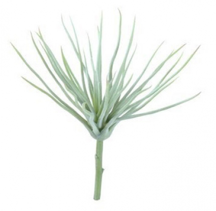 STEM, TILLANDSAI GREEN
