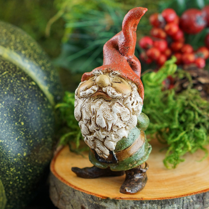 Fairy Garden Gnome