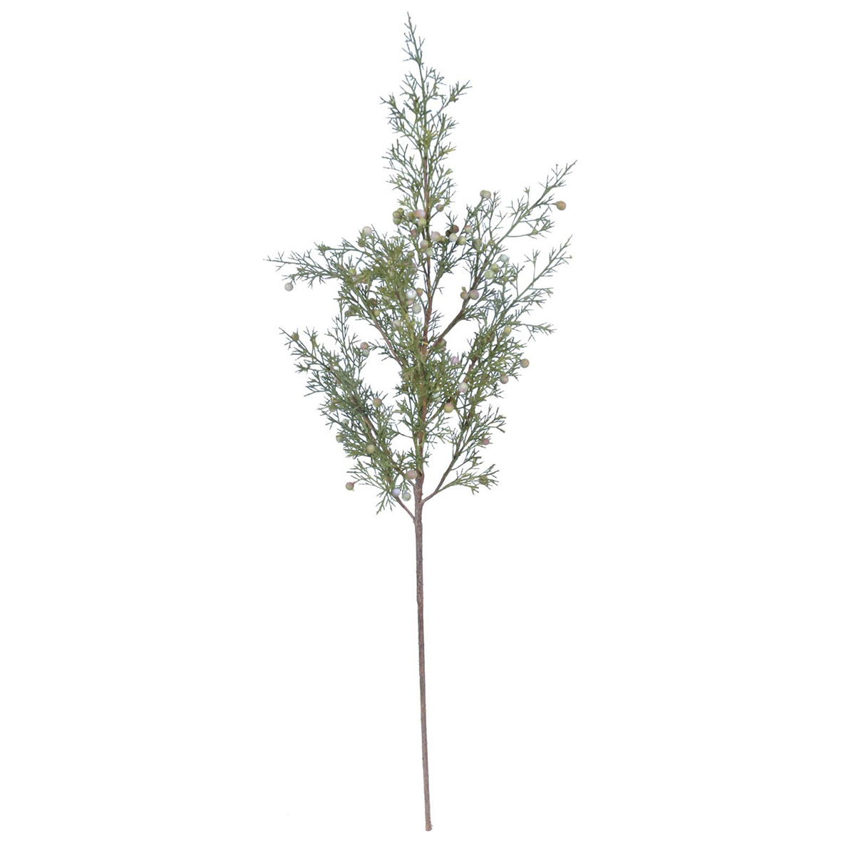 Cypress Stem 32"