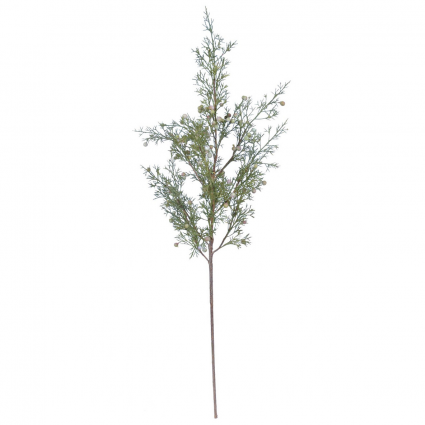 Cypress Stem 32"