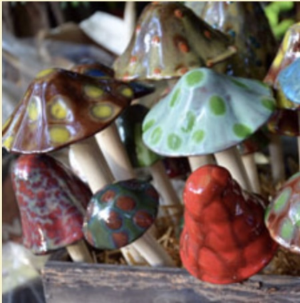 Natural Shroomyz (L)