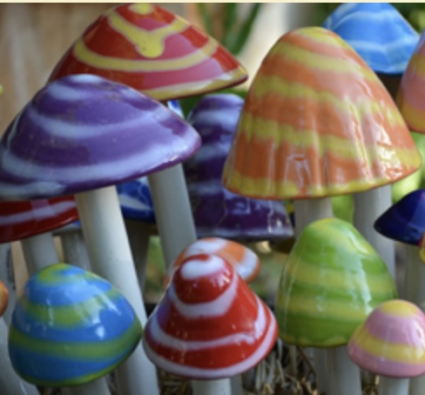 Fantasy Shroomyz (M-L)
