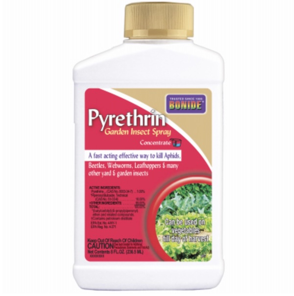 Bonide® Pyrethrin Garden Insect Spray - 8oz - Concentrate