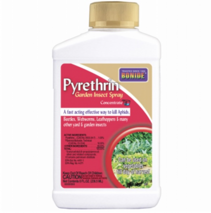 Bonide® Pyrethrin Garden Insect Spray - 8oz - Concentrate